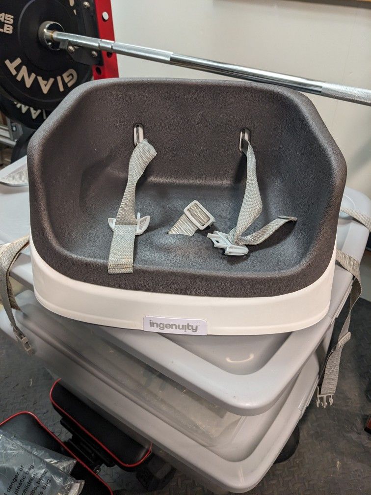Ingenuity Booster Seat 