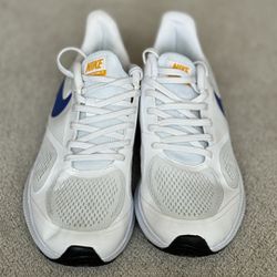 Nike Guide10 Men’s Running Shoes 