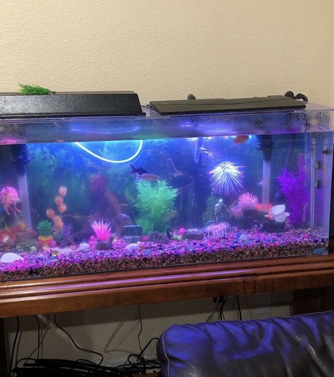 55 Gallon Fish Aquarium With Stand And Filter With Decorations And Rocks