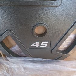 Pair Of 45 Lbs Cast Iron Flat Plates For $80 Brand New 