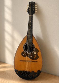 Beautiful Bowl Back Mandolin
