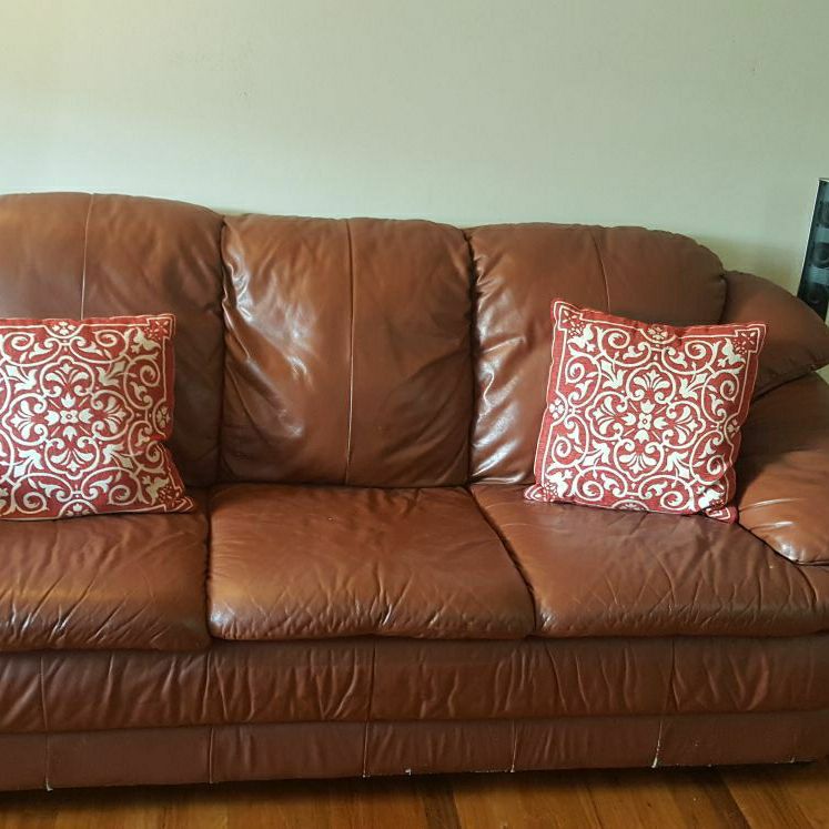 Free Pull out sofa and leather couch
