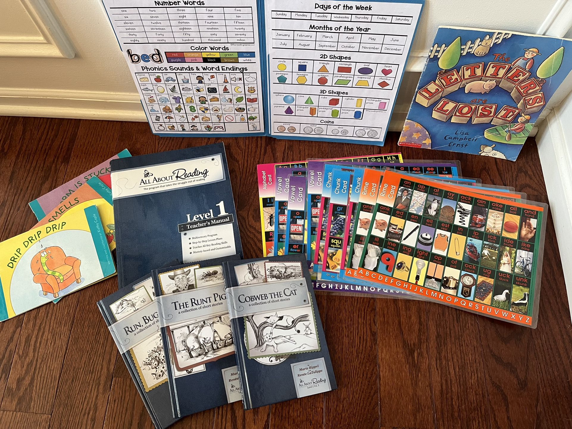 All About Reading Level 1