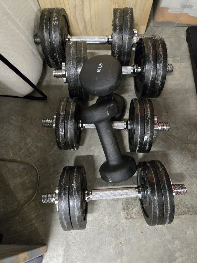 Work Out Bench And 6 Dumbbells