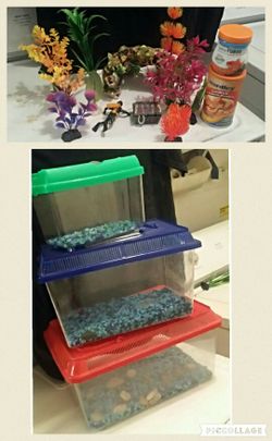 Tank and accessories