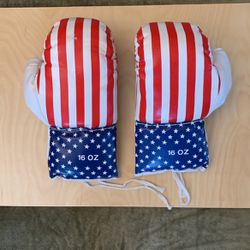 Boxing Gloves - Patriotic American Flag Design 