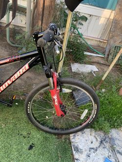 Novara ponderosa cheap 24