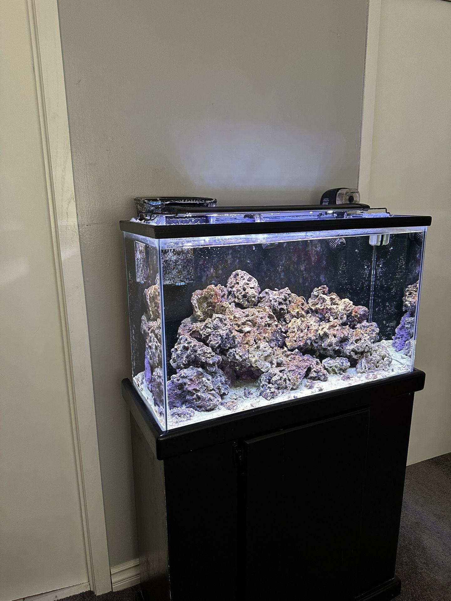 40 Gallon Saltwater Aquarium for Sale in Las Vegas, NV - OfferUp