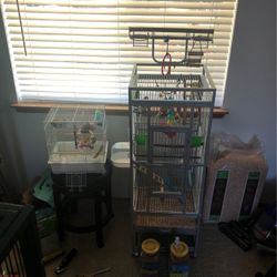 Cage Parakeet With Toys 