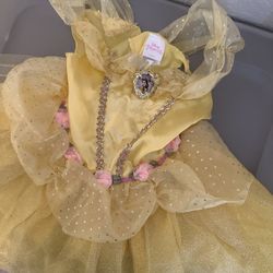 Disney Belle Dress