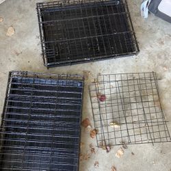 Small Dog Kennels w/dividers