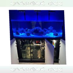 Massive Aquarium Tank - Wide & Stunning Display one allow