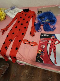 Miraculous ladybug used once size child  small 4-6 good condition complete retail price $39.99,  asking $25 or best offer  rialto location