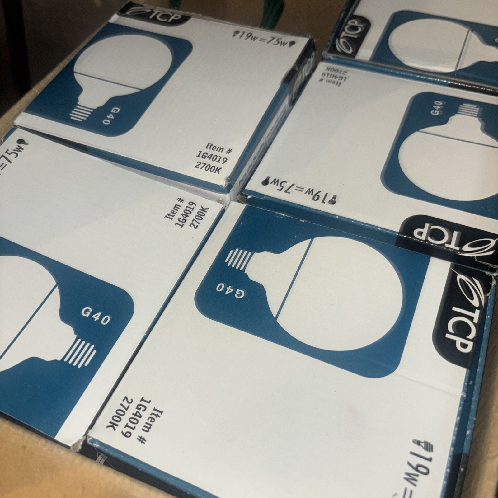 TCP 19 W G40 Globe 1G4019 27k-75 W Equivalent 