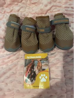 Small/medium dog shoes