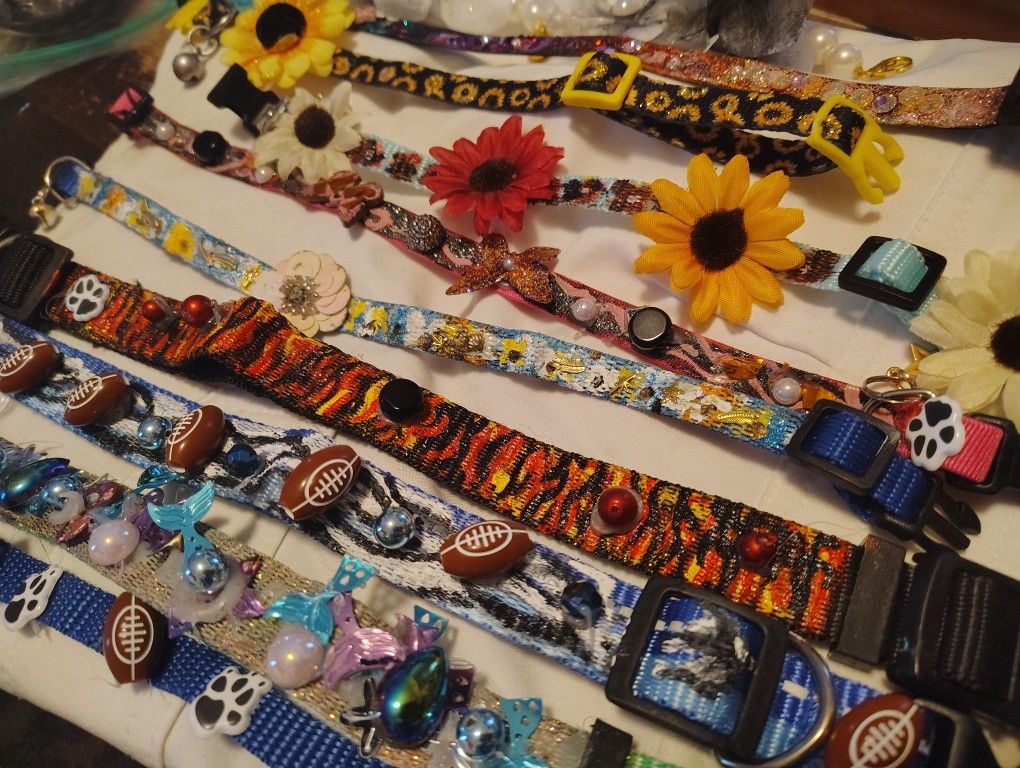 Pet Collars