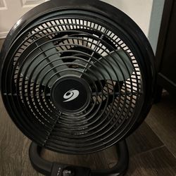 Bionaire Whole Room Oscillating Fan