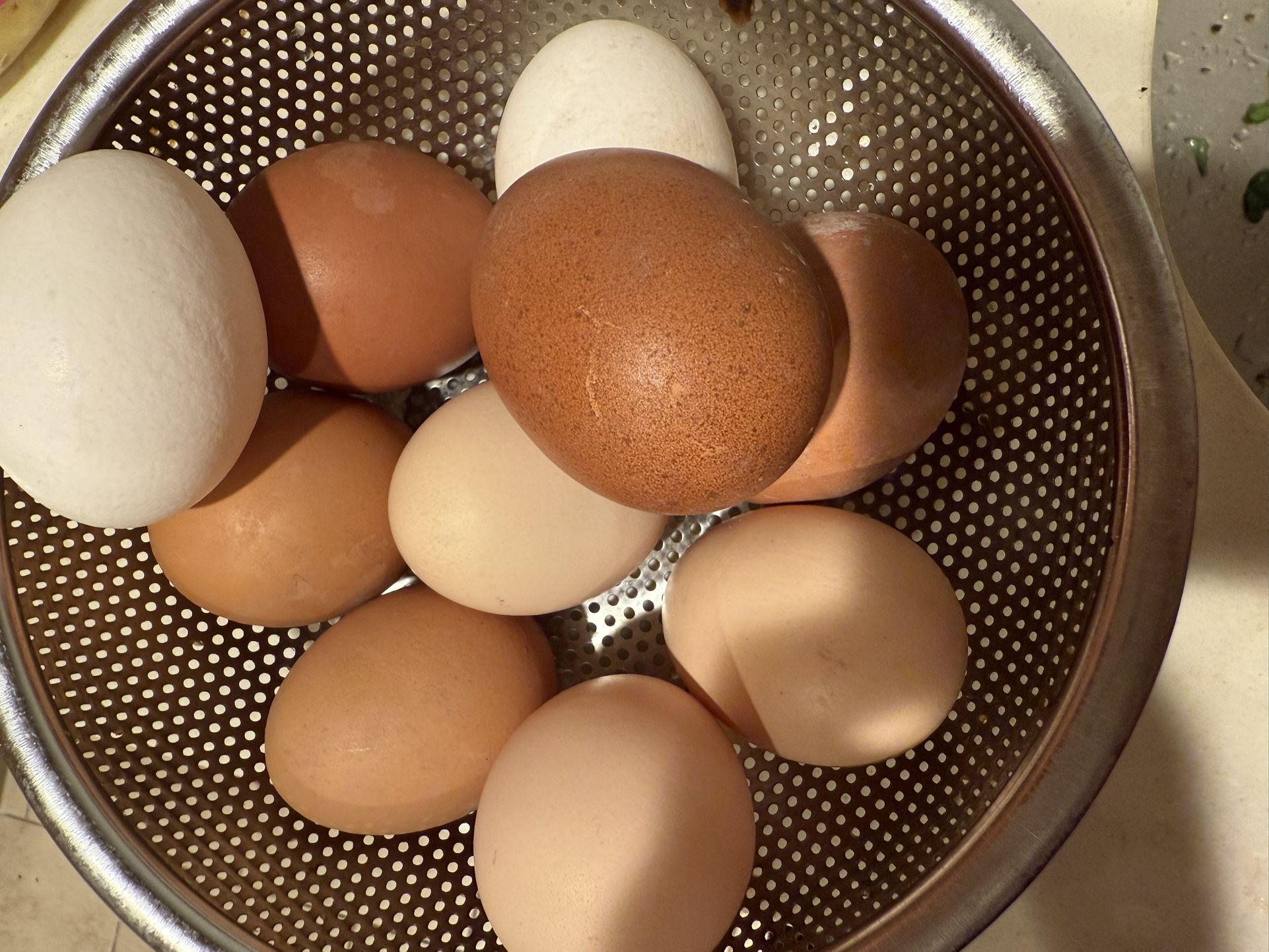 Organic eggs