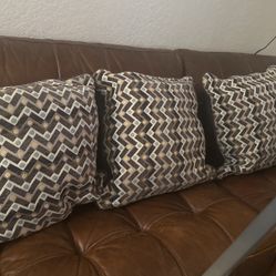 20 X 20 Pillows 