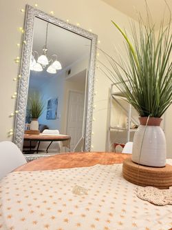 Elegant Silver Decorative Mirror