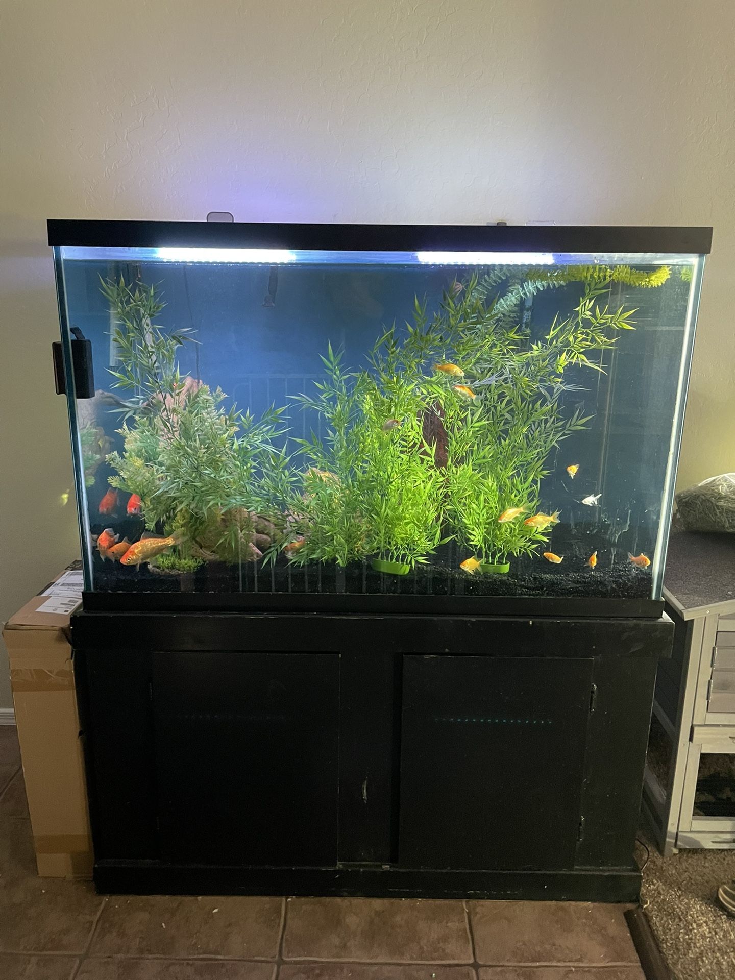 150 Gallon Fish Tank 