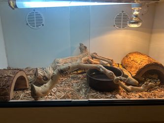 Snake enclosure