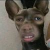 Leroy