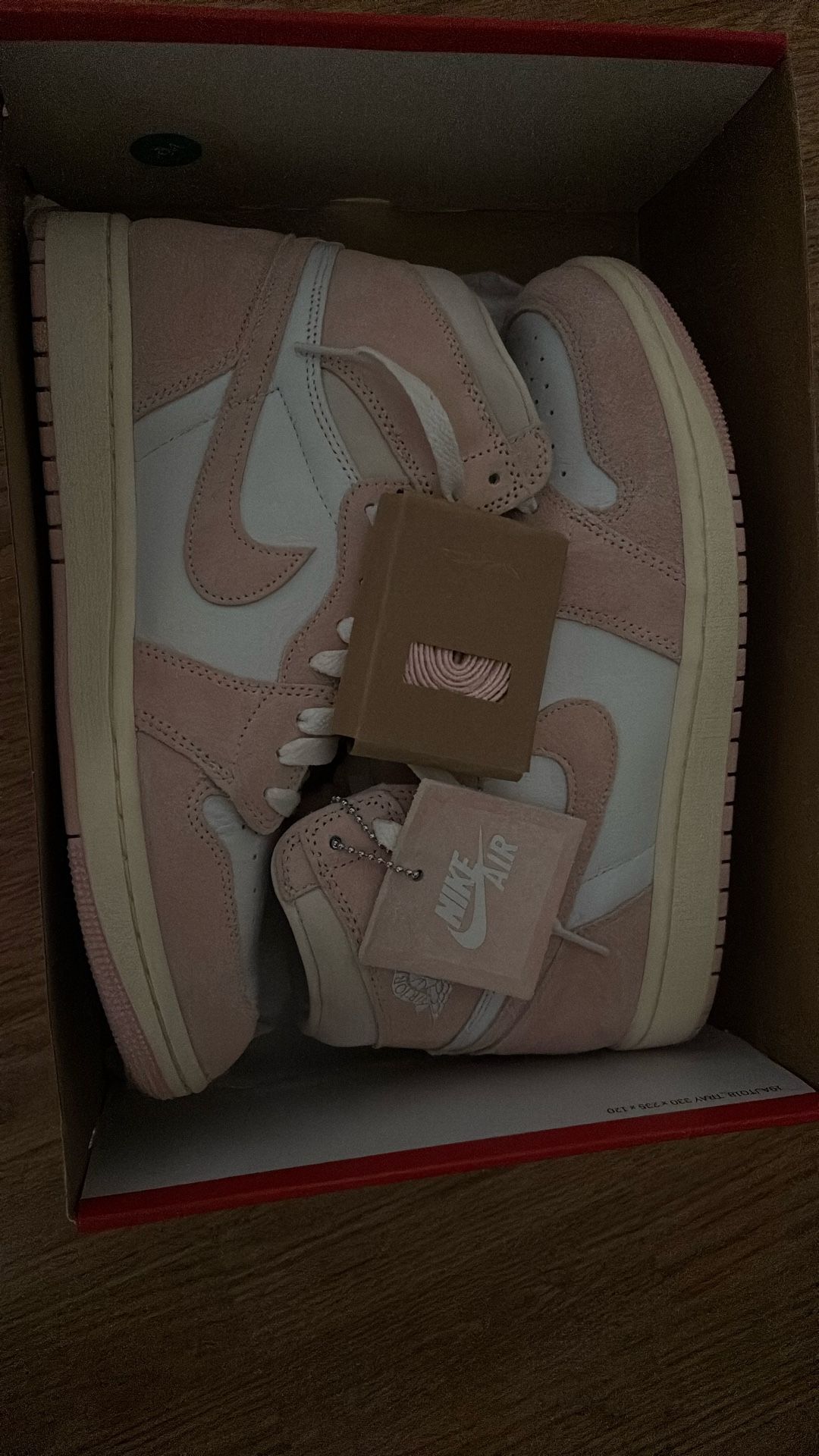 Jordan 1 Retro High OG Washed Pink 