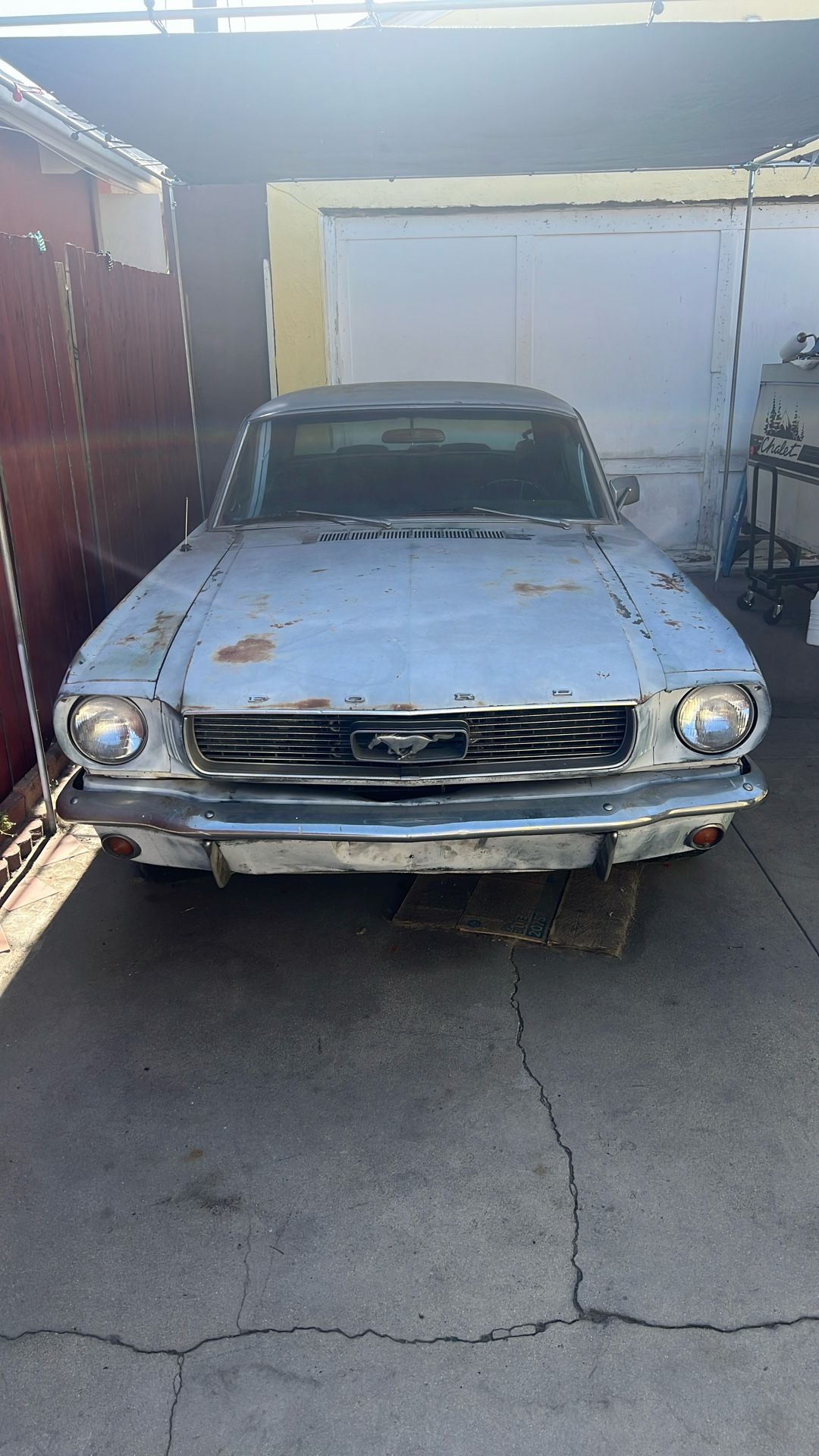 Mustang 1966 V8