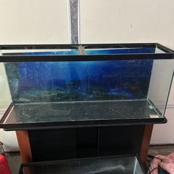 55 Gallon Tank And Stand