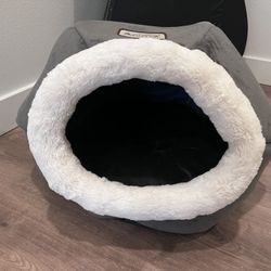  brand new cat bed and Hills cat dry food