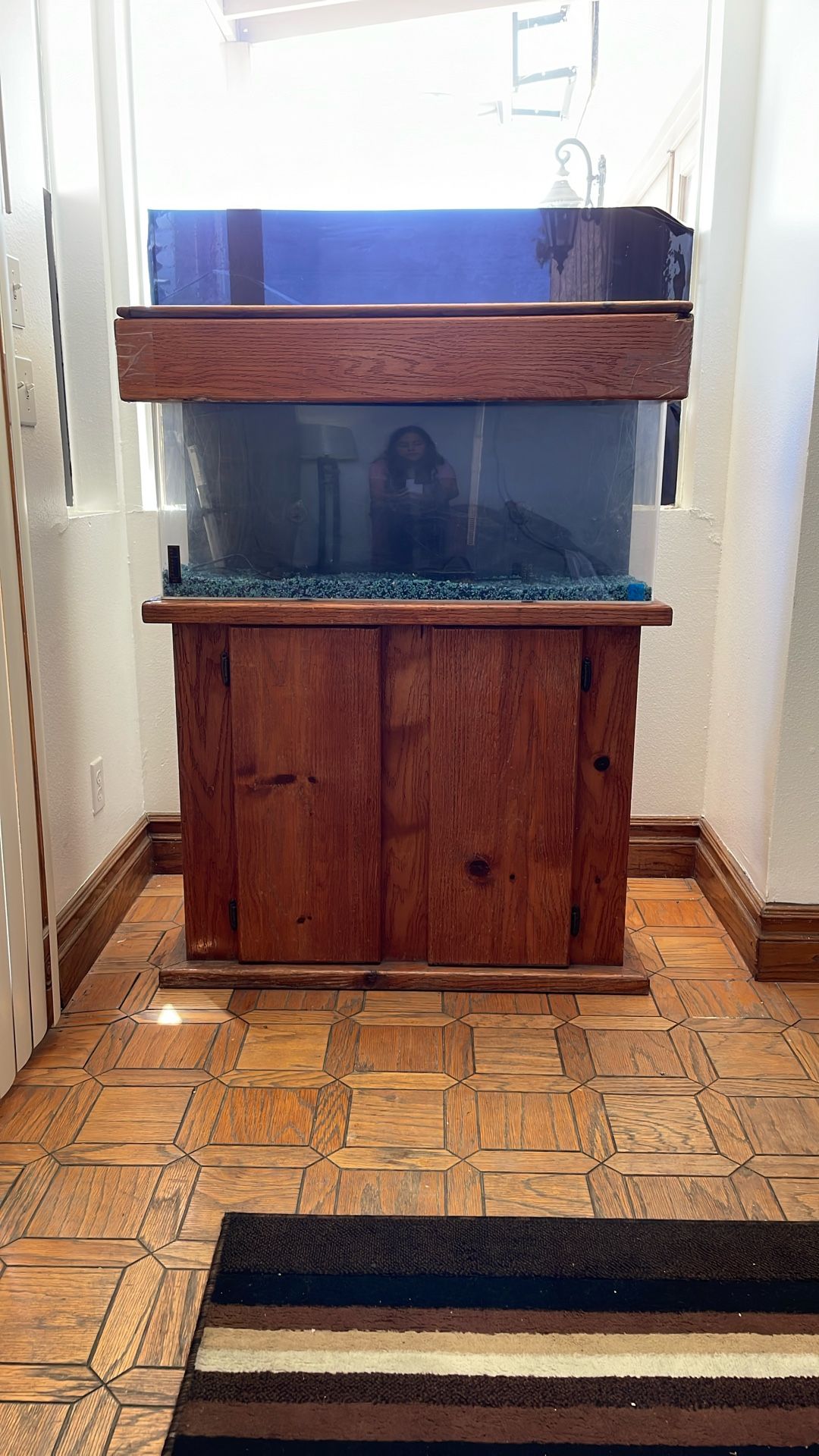 Large Fish tank