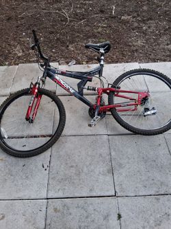 Adult bike