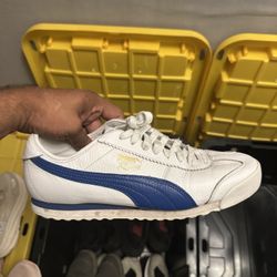 Puma Shoe 9