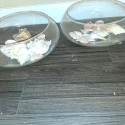Glass Bowls With Variety Of Shells
