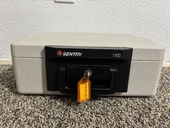 Sentry Safe