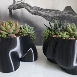 Black Booty Planter  Unique Succulent Decor