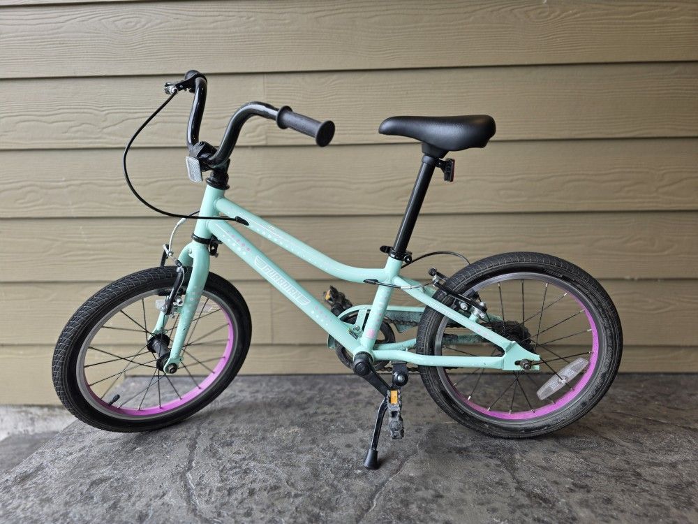 Guardian Bike For Ages 4-6 Years