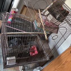 Bird Cage 
