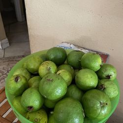 Guayabas