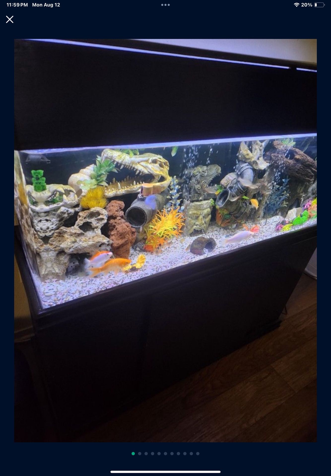60 Gal Acrylic Aquarium