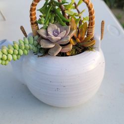 White Tea Pot Succulent Planter 