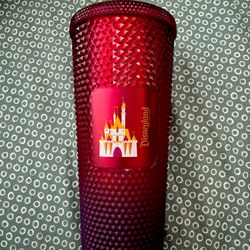 Starbucks Disneyland Tumbler