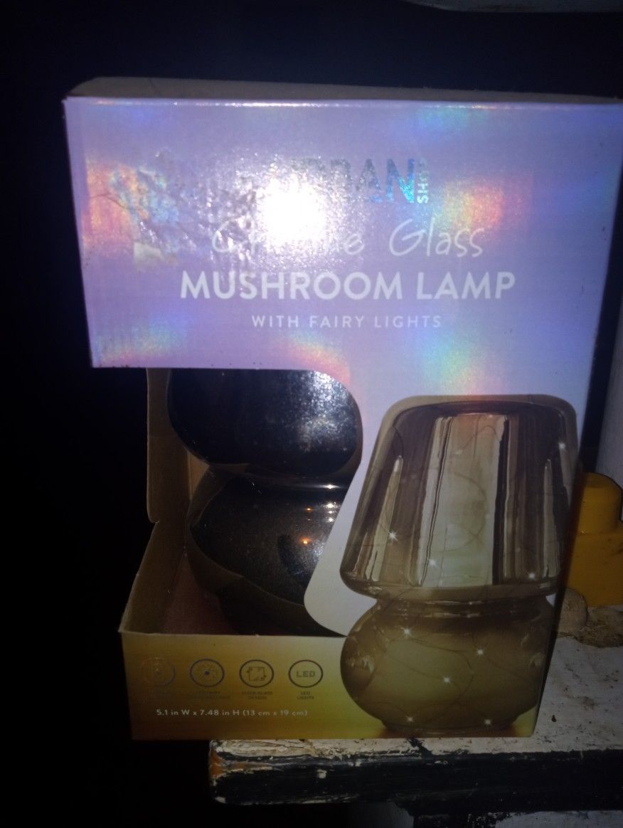 Mushroom Lamp π