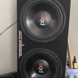 Subwoofer Size 12