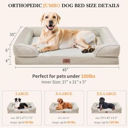 Pet Beds And Accessories 