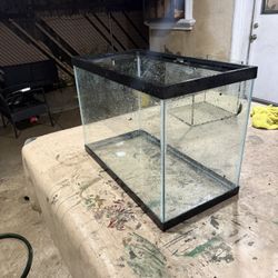 20 Gallon Tall Fish Tank