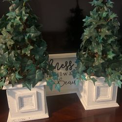 2 Fake Plants Thumbnail