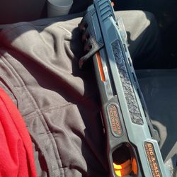 bug gun salt gun