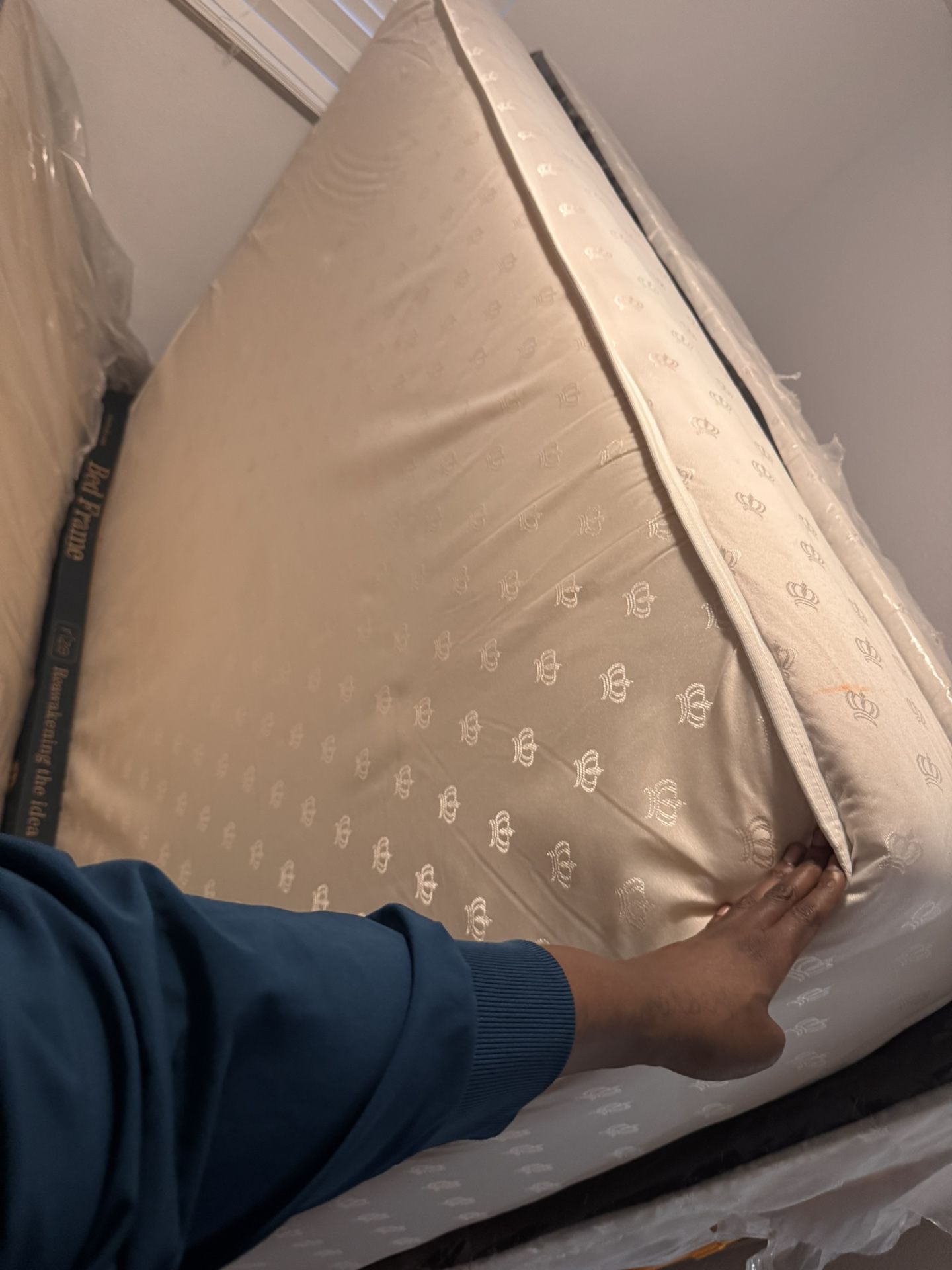 Queen Bed And Box Spring 